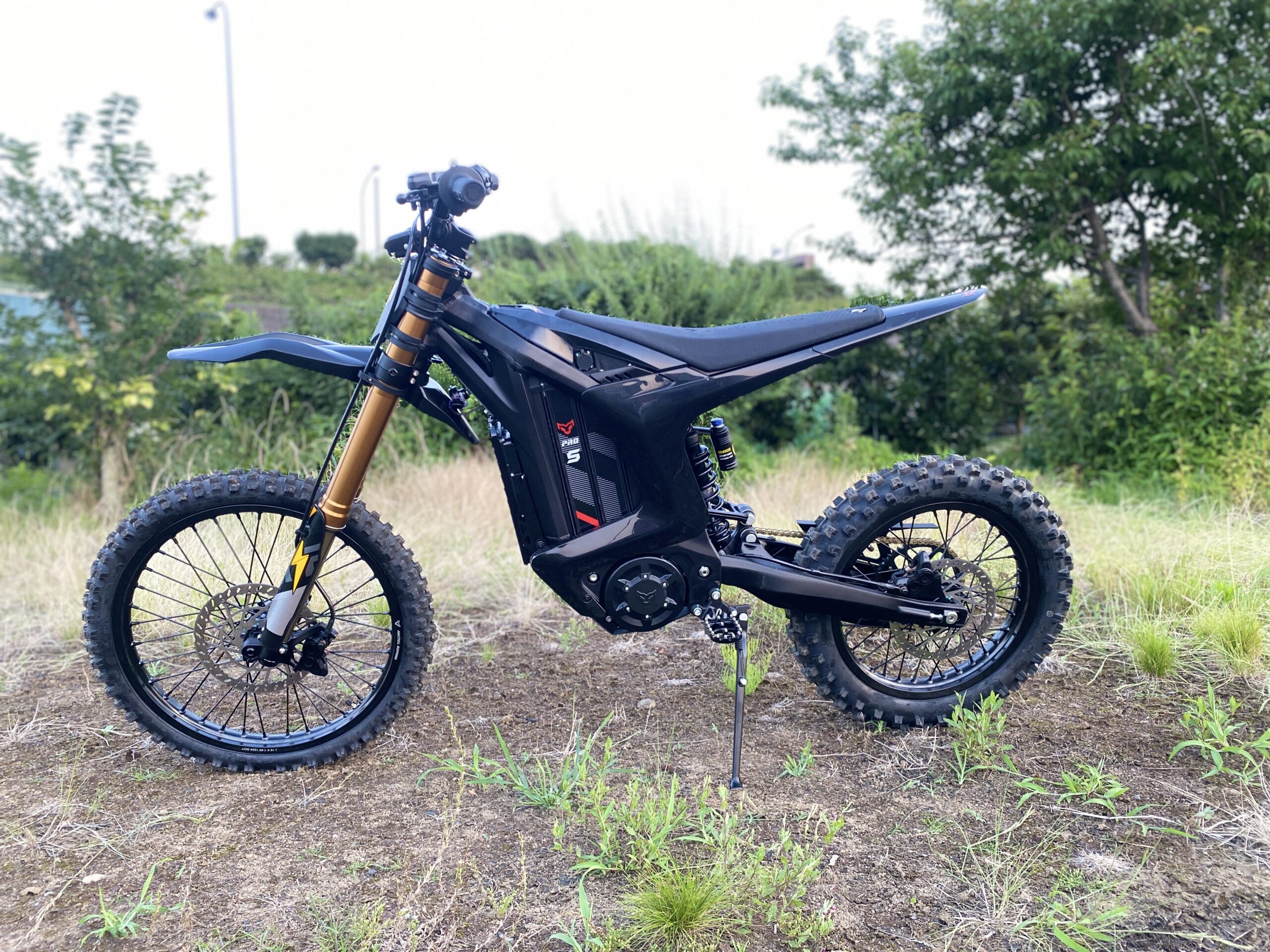 自転車　　ロードバイク　レオパード ARCTIC LEOPARD ELECTRIC E-XE880: 完全テスト - ダートバイク